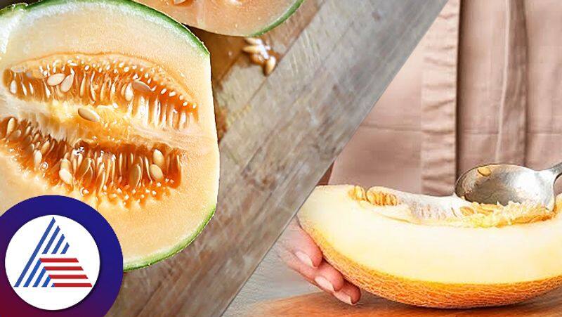 Why we should eat muskmelon seeds health benefits of it pav