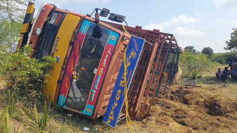 more than 75 goats killed road accident in nagapattinam vel