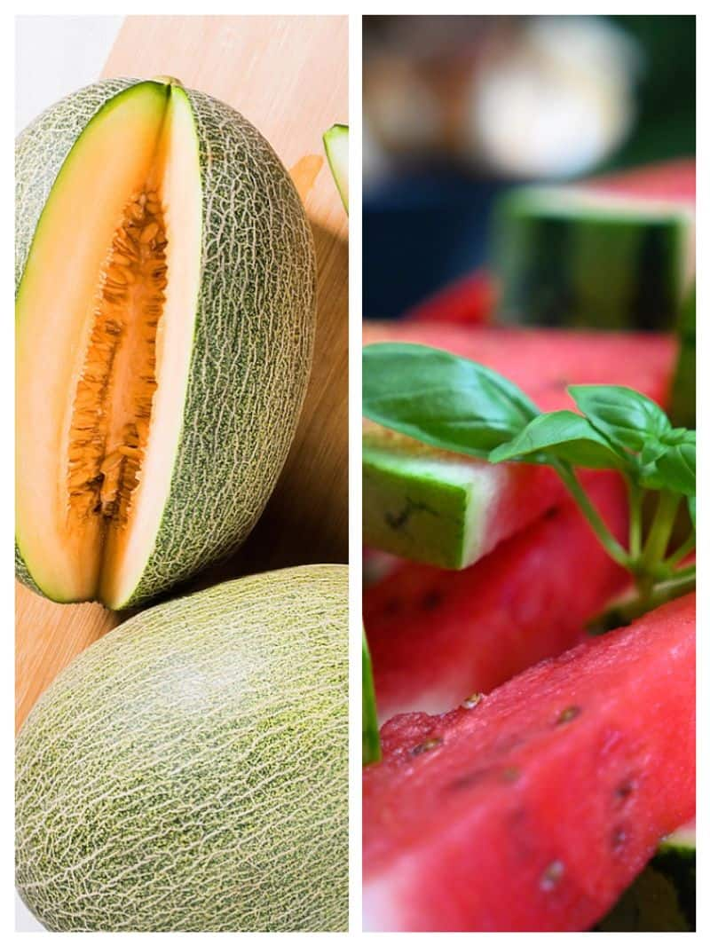 Watermelon to Cantaloupe: 7 hydrating fruits you must eat in Summer ATG