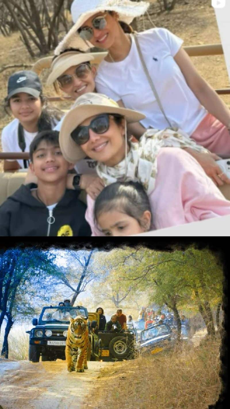  Shilpa Shetty Ranthambore jungle safari plan trip for jungle safari  will be memorable XBW