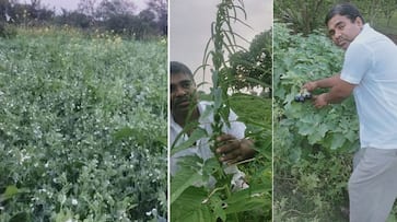 Inspirational story of Jhansi farmer Dharmendra Namdev who does cow urine based farming zrua