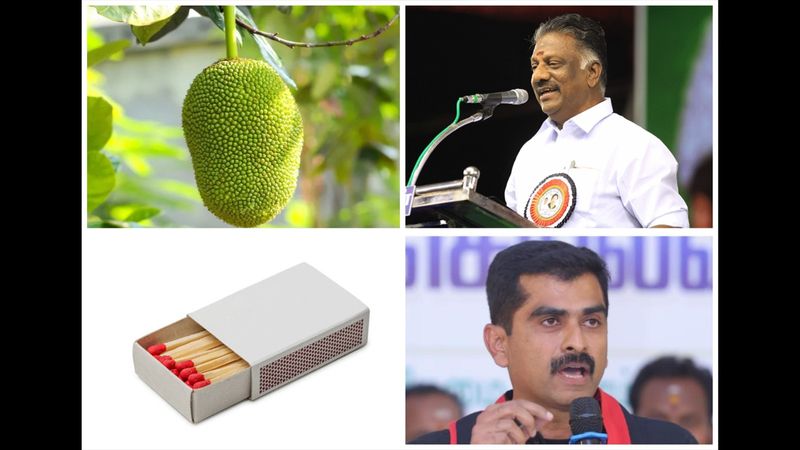 election commission allots jackfruit symbol to o panneerselvam and matchbox symbol allotted to durai vaiko vel