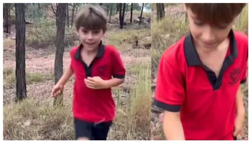 Australian 7 years old boy found sapphire worth 8 lakh in a park bkg