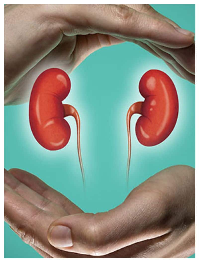 Seven foods that can be used for kidney health