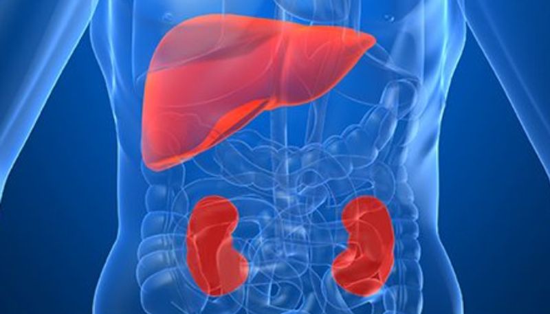 most harmful foods for your kidney and liver