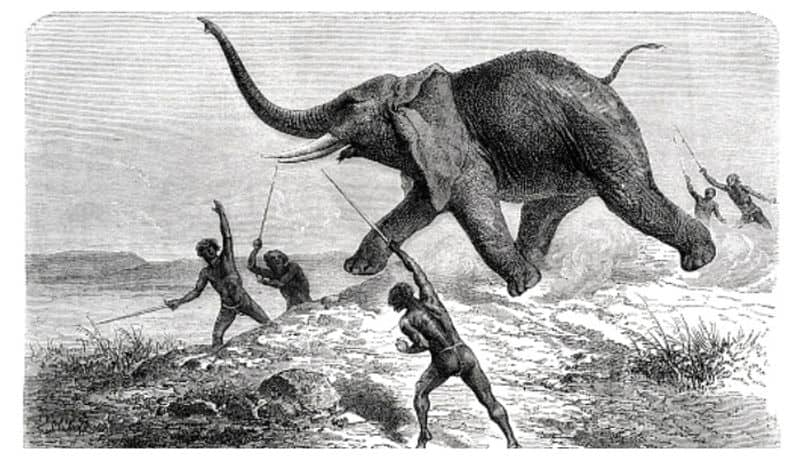 researchers says early humans hunted and ate elephants during the Palaeolithic period two million years ago 