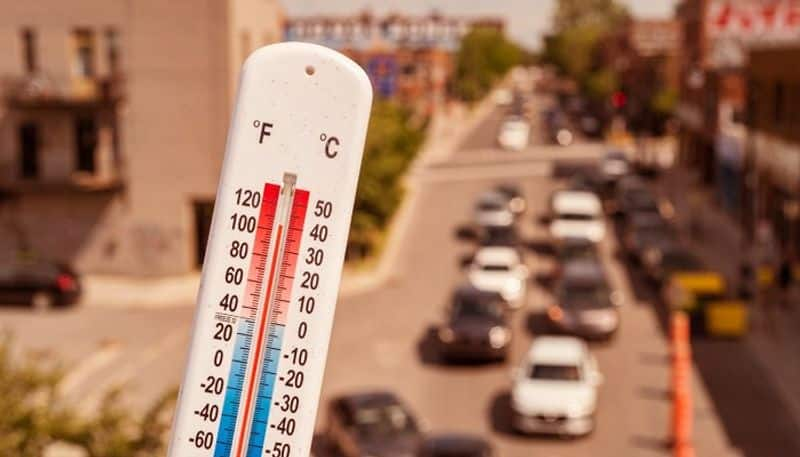 Heatwave in India: 'Wear light clothes, avoid outdoor activities,' Kolkata doctor advises citizens RBA