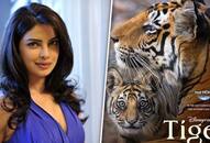 Tiger Priyanka Chopra lent her voice for Disney's upcoming film as tigress Amba; Read on ATG