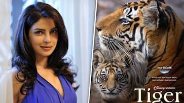 Tiger Priyanka Chopra lent her voice for Disney's upcoming film as tigress Amba; Read on ATG