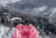 Influencer crafts rose ice cream using snow, enjoying it like a gola; Online users express concern (WATCH)