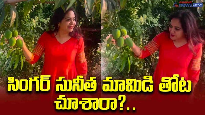 Singer Sunita's mango garden