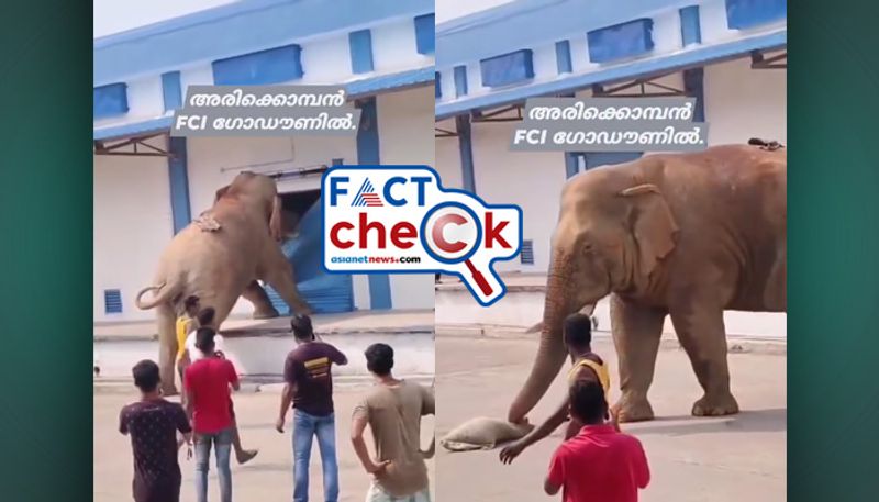 Fact Check arikomban in fci godown video is fake 