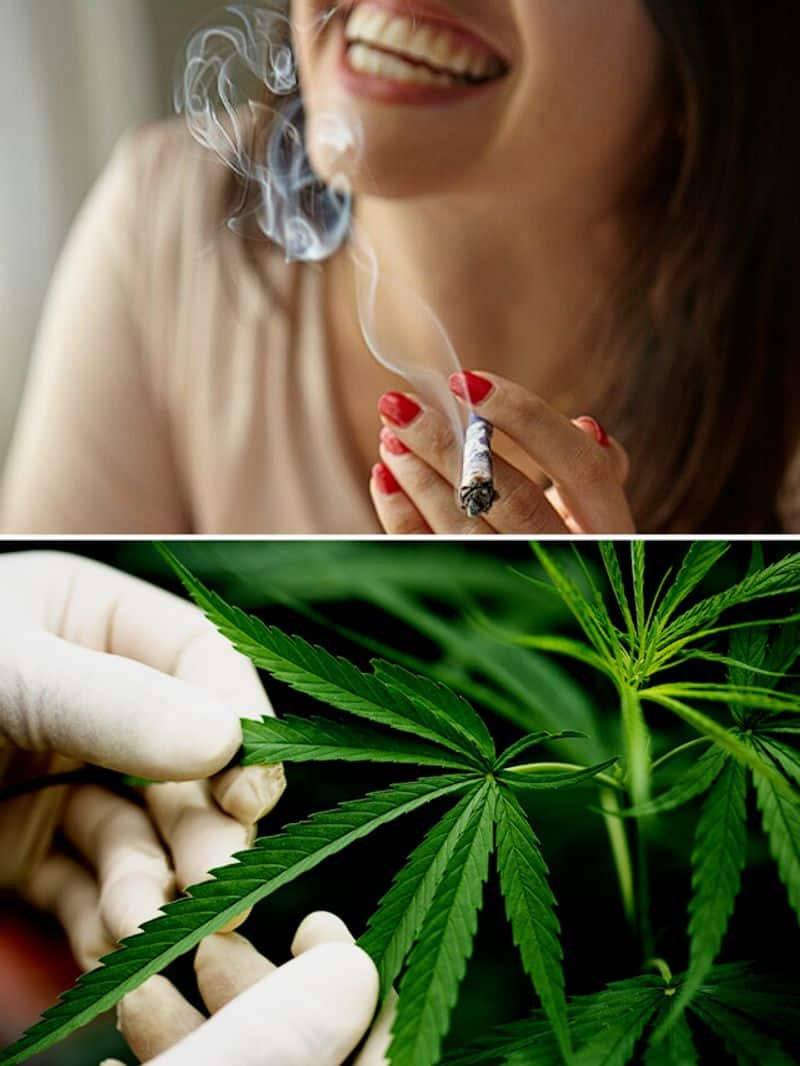 Love marijuana? You can now legally smoke, grow it in THIS country RKK