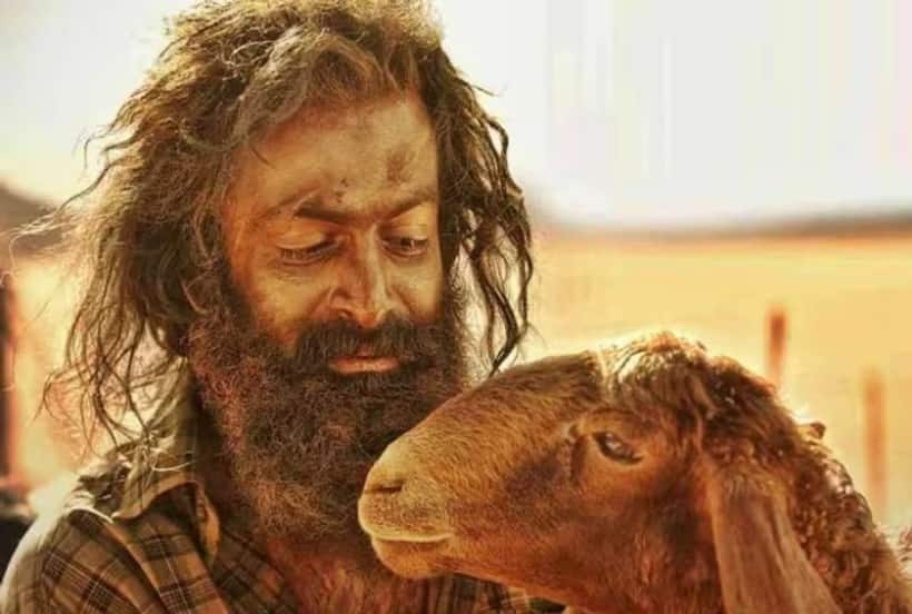 Aadujeevitham: 1.06 lakh tickets booked on Book My Show in 24 hours; Highest in India