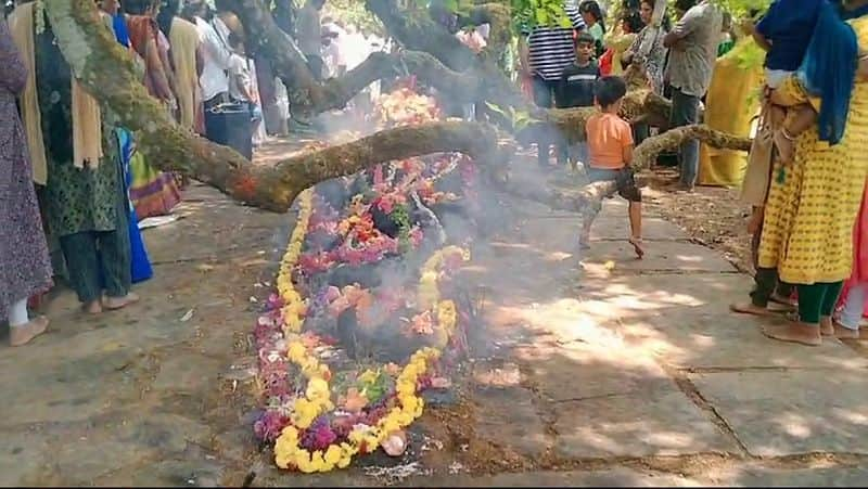 Chikkamagaluru drought Special worship by farmers for rain