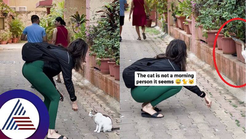 As soon as actress Karisma went to touch the cat that was on her way fans reacts suc