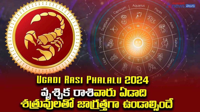 Ugadi Rasi Phalalu 2024 Scorpio results