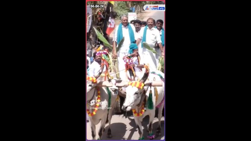 dmdk candidate who was campaigning in a bullock cart in Thanjavur suddenly fell down vel