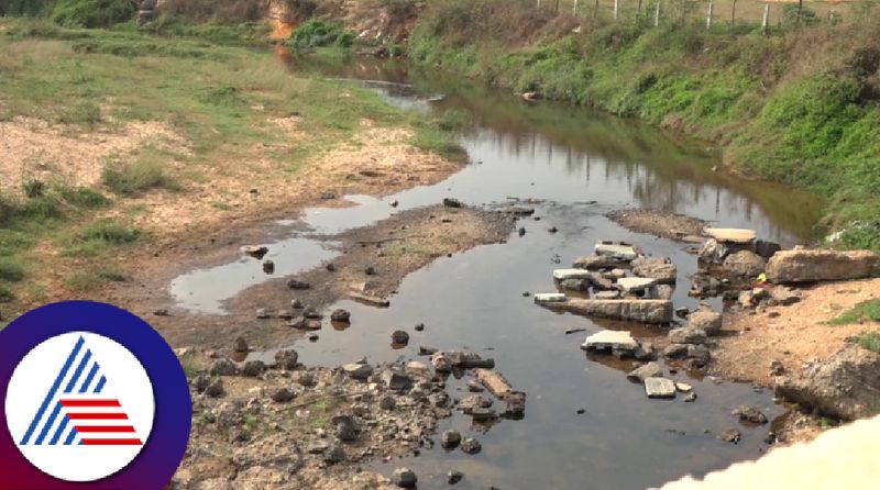 Hemavati reservoir is empty coffee growers worried at chikkamagaluru rav