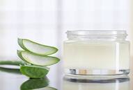 Beauty Tips: 7 Amazing Ways to Include Aloe Vera in Your Beauty Routine nti