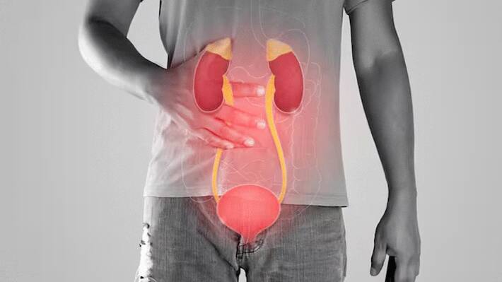 prostate