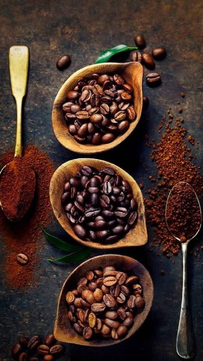 <p><br />
सिवेट बिल्ली की पॉटी को सुखाकर लंबे प्रोसेस की मदद से साफ किया जाता है। फिर टेस्टी कॉफी तैयार की जाती है। इस कॉफी का स्वाद बहुत स्वादिष्ट होता है। </p>
