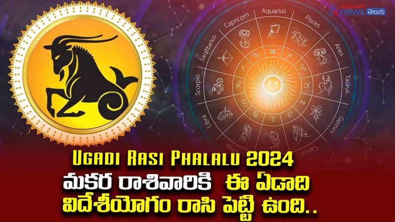 Ugadi Rasi Phalalu 2024 Capricorn results