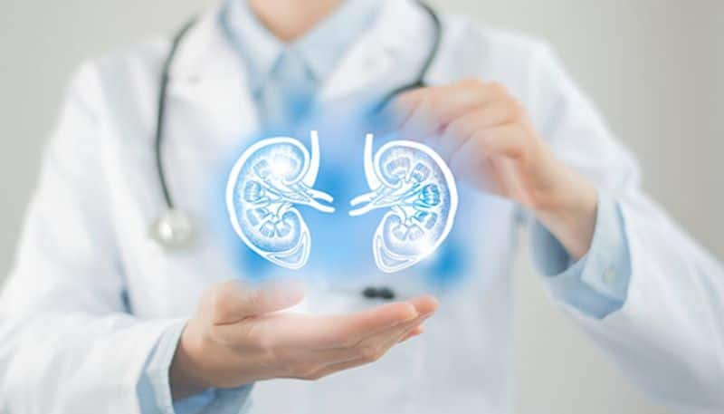 Simple Ways To Keep Your Kidneys Healthy Rya