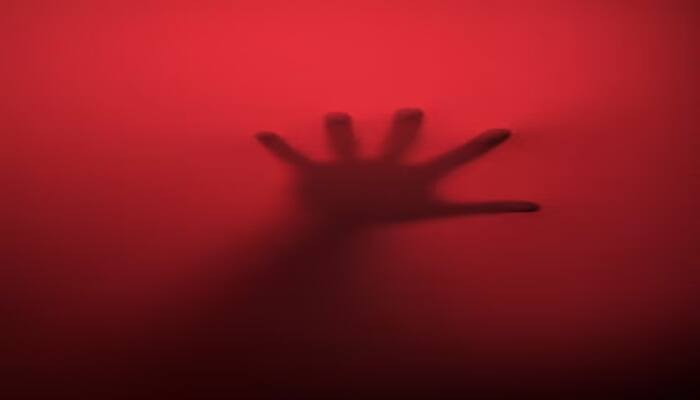 Terrible incident in Delhi Woman body found dead in Almirah