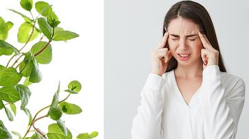 Benefits of Tulsi leaves A simple home remedy that will help you get rid of migraines iwh