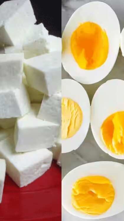 Egg vs Paneer: గుడ్డు వర్సెస్ పన్నీరు..  ఏది బెస్ట్ ప్రోటీన్ ఫుడ్?