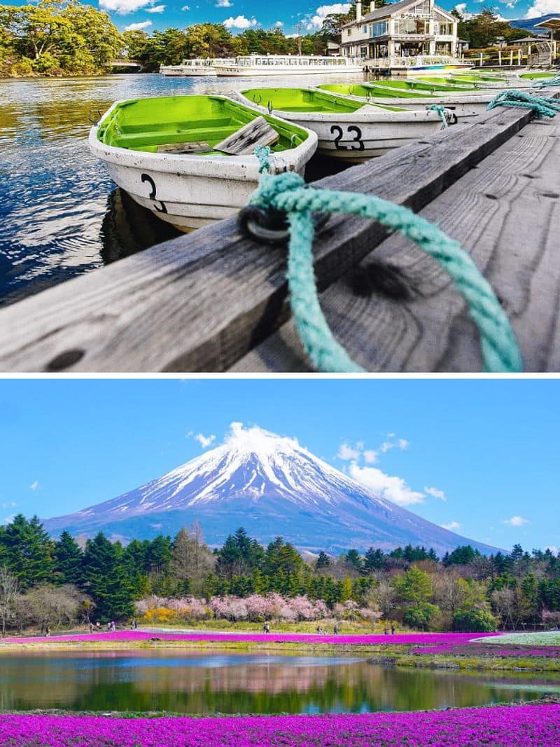 Mount Fuji to Kyoto: 7 places to visit when in Japan ATG