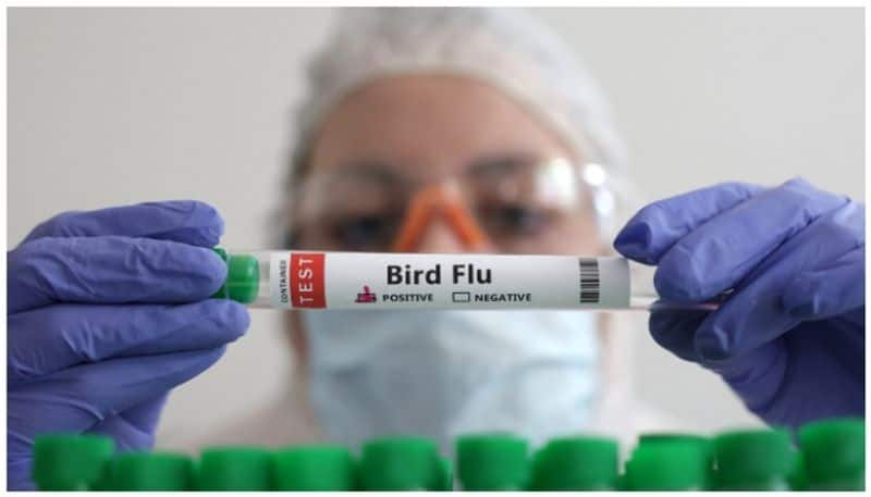 first human case of bird flu reported in australia in a child 