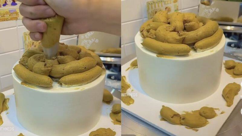 video viral of Birthday cake made on potty theme zkamn