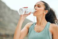 Why drinking plain water in summer may not be enough for your body iwh