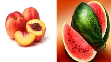 world health day 2024 watermelon Peach eat these hydrating fruits for summer kxa 