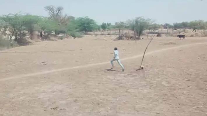 Rajasthan news
