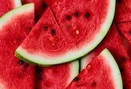 how to pick a sweet adulterants watermelon benefits side effects kxa 