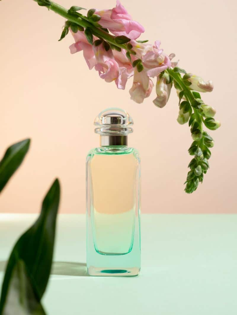 Perfume guide: 6 Best scents for a vibrant spring this yearrtm 