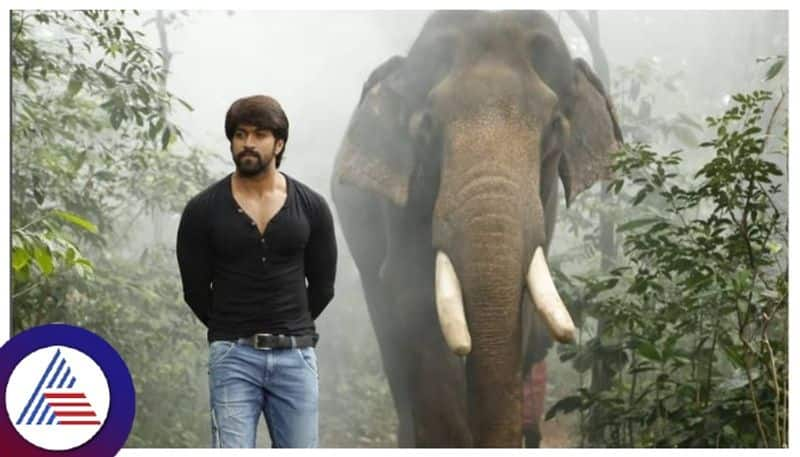 kannada actor yash says i m born in hassan only for a quarrel with local farmers srb