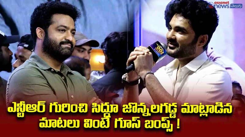 siddujonnalagadda comment on ntr