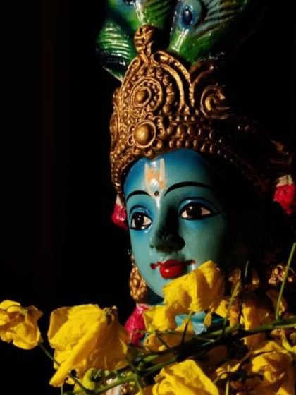 Importance of Vishukkani