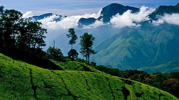 Ooty Lake to The Tea Factory: 7 Most-Scenic tourist places to visit in Ooty nti