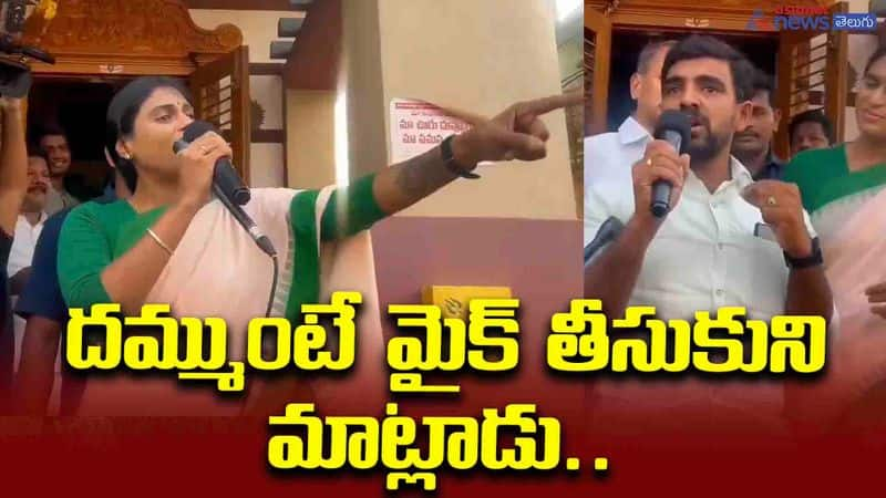 ys sharmila fire on ys jagan fans