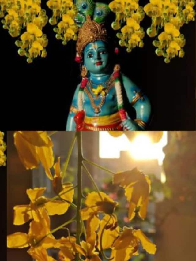 Vishu 2024 : When day and night are equal rkn