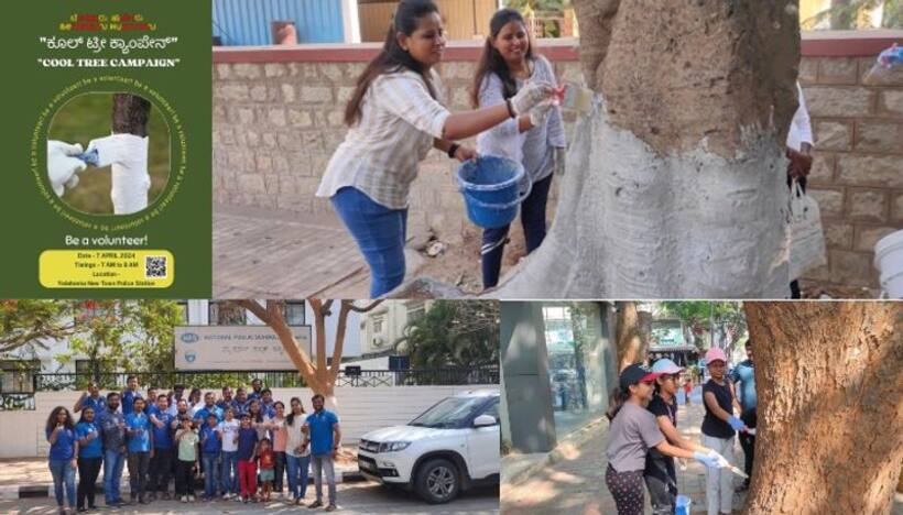 Bengaluru youth launch ‘cool tree campaign’; Applying sunscreen to protect trees from scorching sun