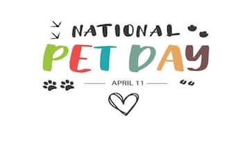 National Pet Day 2024: Here is everything you need to know nti