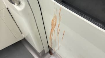 Pic of Gutka stains in Metro goes viral: leaves Internet outragedrtm