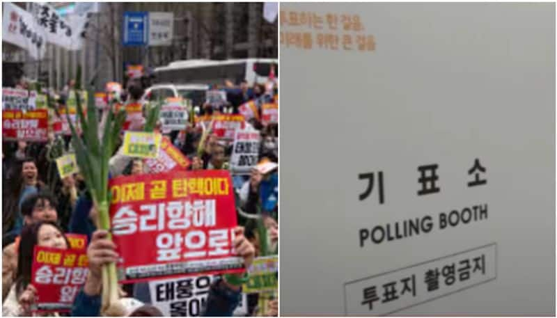 Opposition win in South Korea election where green onion major topic in campaign