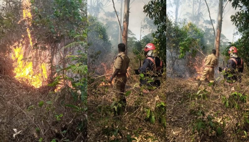 Kerala: Fire breaks out in Sulthan Bathery forest range rkn